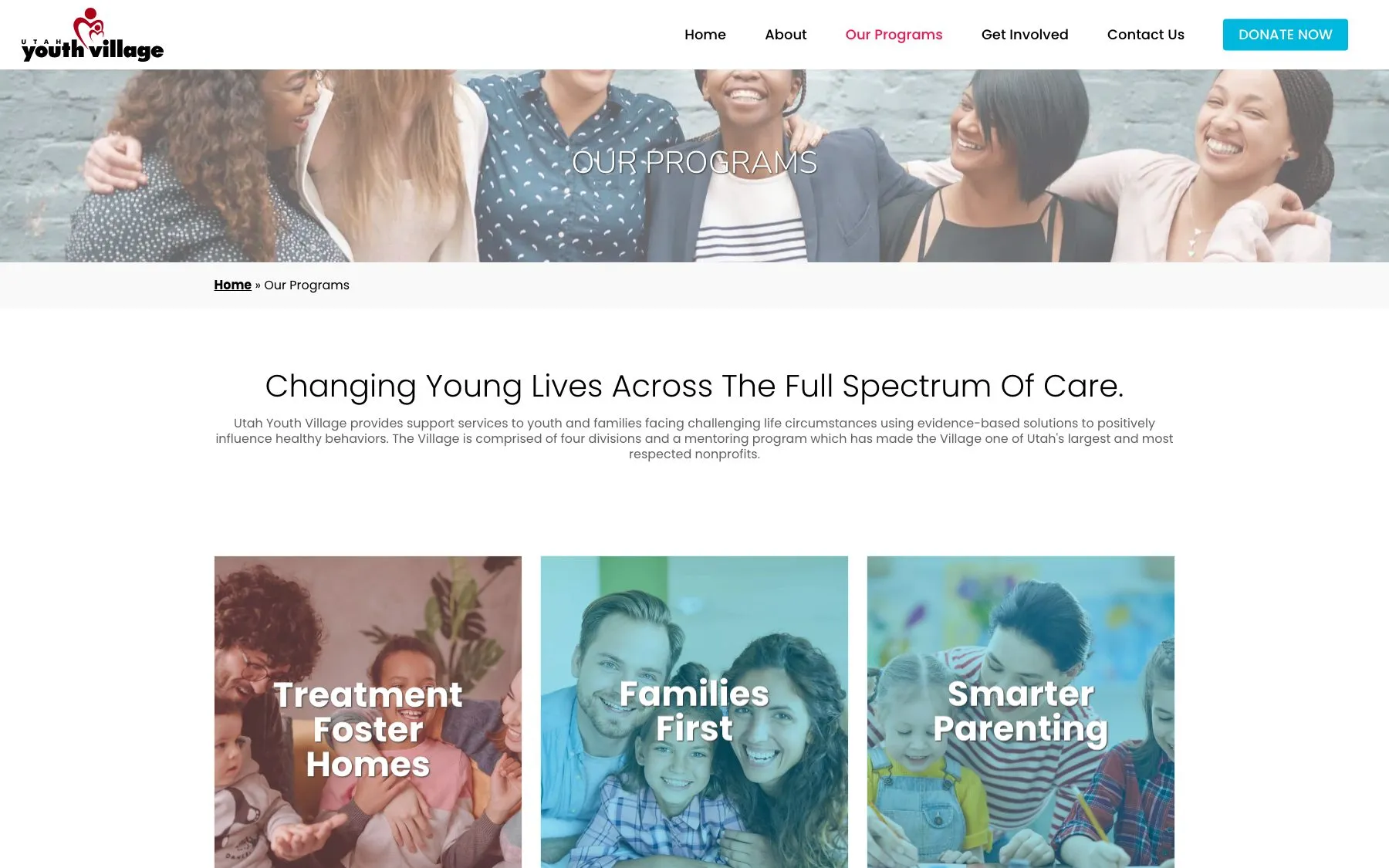 The programs page unifies four divisions, from Treatment Foster Homes to Smarter Parenting, under one brand.